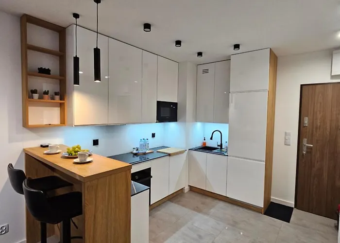 Centralna Park Apartament Kraków